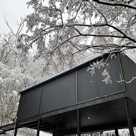 Blackbox House *