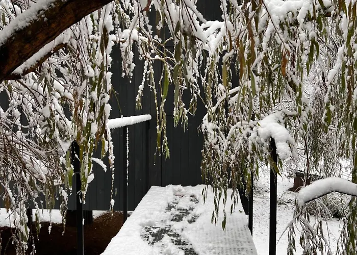Blackbox House