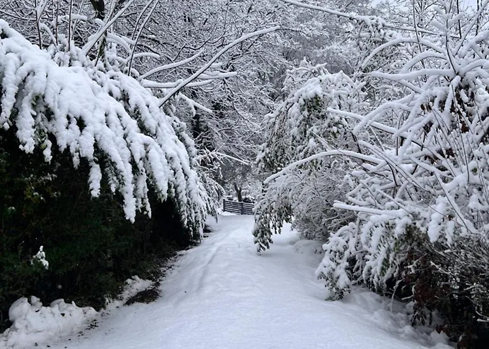 Blackbox House 公寓 诺茨瓦约