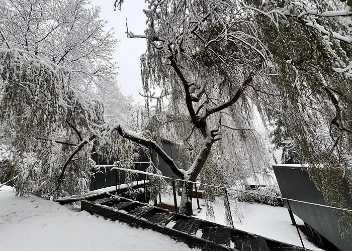 Blackbox House 公寓 诺茨瓦约