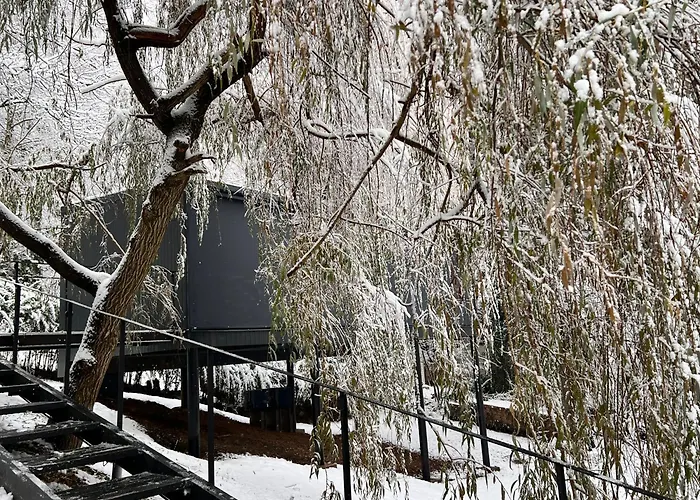 Blackbox House 公寓 *