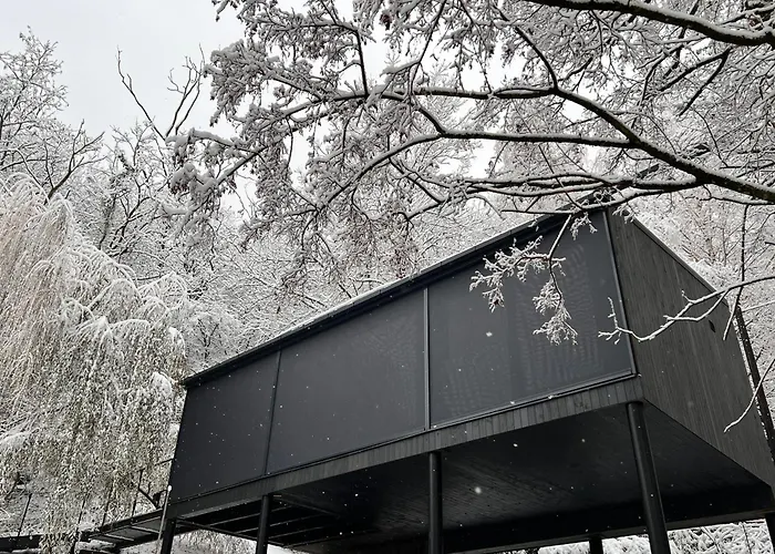 Blackbox House *