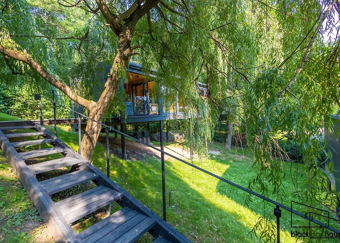 Blackbox House * Noszvaj
